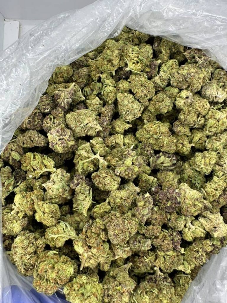 WhatsApp Image 2025-07-20 at 11.37.06 AM (3)