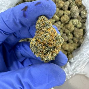 🍋 Lemon Cherry Gelato (Exotic Indoor) – 29% THC | Organic | Top-Shelf