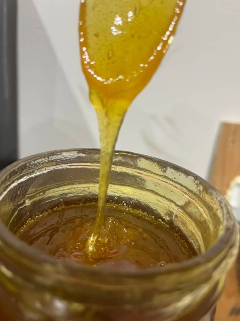 WhatsApp Image 2025-07-24 at 6.47.28 PM