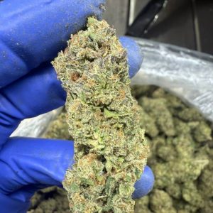 Green Crack x Skunk Strain – Organic Hybrid with Bold Flavor & 28% THC