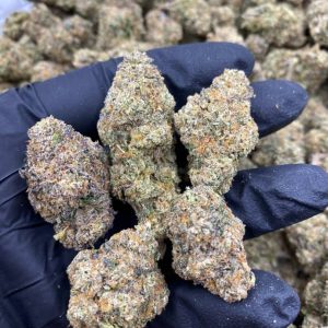 buy White Headband strain online