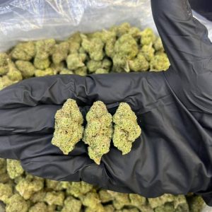 Buy Blue Dream Strain Online