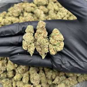 Gelato buds for sale