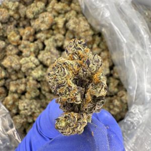 buy northern lights weed online