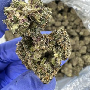 buy jack herer weed online